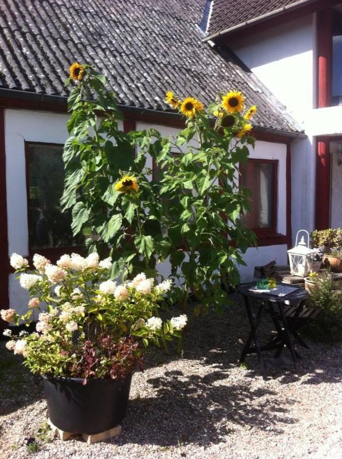 Praestogaard Bed & Breakfast Eksteriør bilde