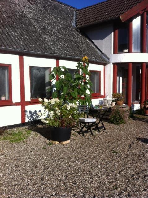 Praestogaard Bed & Breakfast Eksteriør bilde