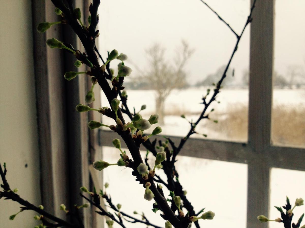 Praestogaard Bed & Breakfast Eksteriør bilde