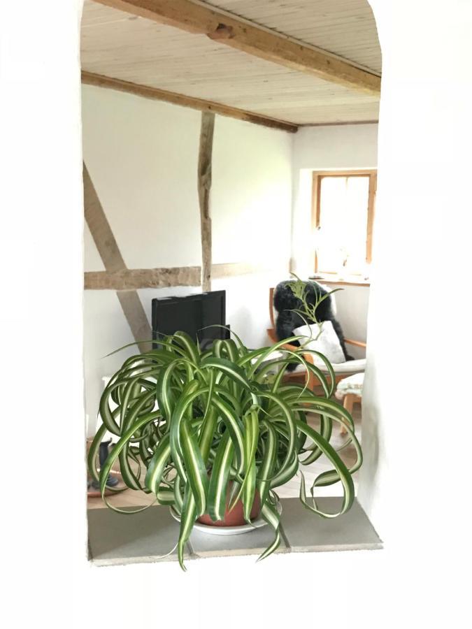 Praestogaard Bed & Breakfast Eksteriør bilde